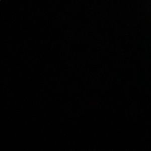 Meet your Posher, Levonte